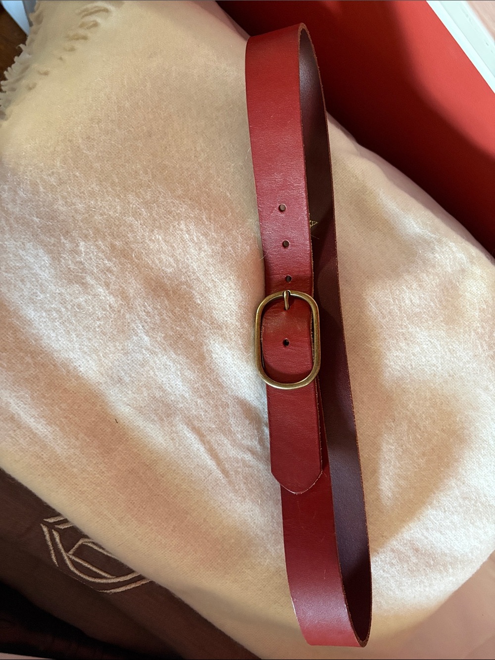 Anthropology Leather Belt with Brass Oval Buckle